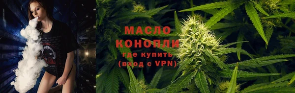 дурь Бородино