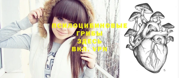 дурь Бородино