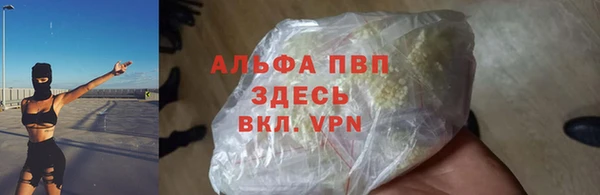 дурь Бородино