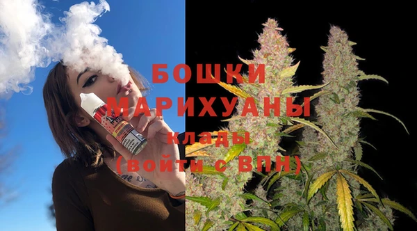 соль ск Бронницы