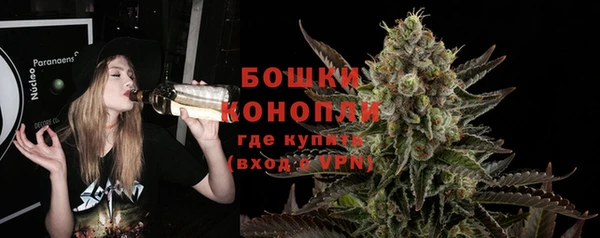соль ск Бронницы