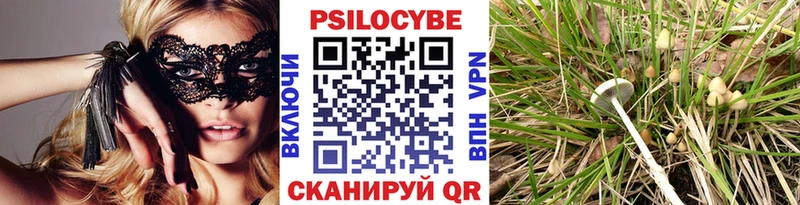 Псилоцибиновые грибы GOLDEN TEACHER  Чишмы 